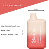 RUNFREE BC5000 50MG DISPOSABLE VAPE 5000 PUFF