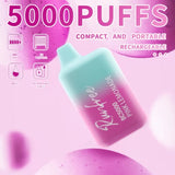 RUNFREE BC5000 50MG DISPOSABLE VAPE 5000 PUFF