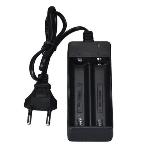 Smart Charger Black (Dual)