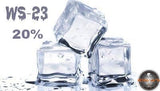 WS23 ICE (WS 23 - 20%) Flavor BVC - Boss Vape