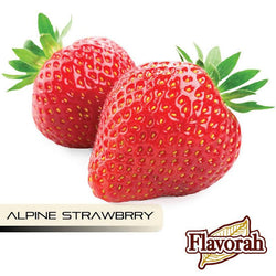 Alpine Strawberry *** Flavour FLV